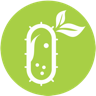 Green Micro