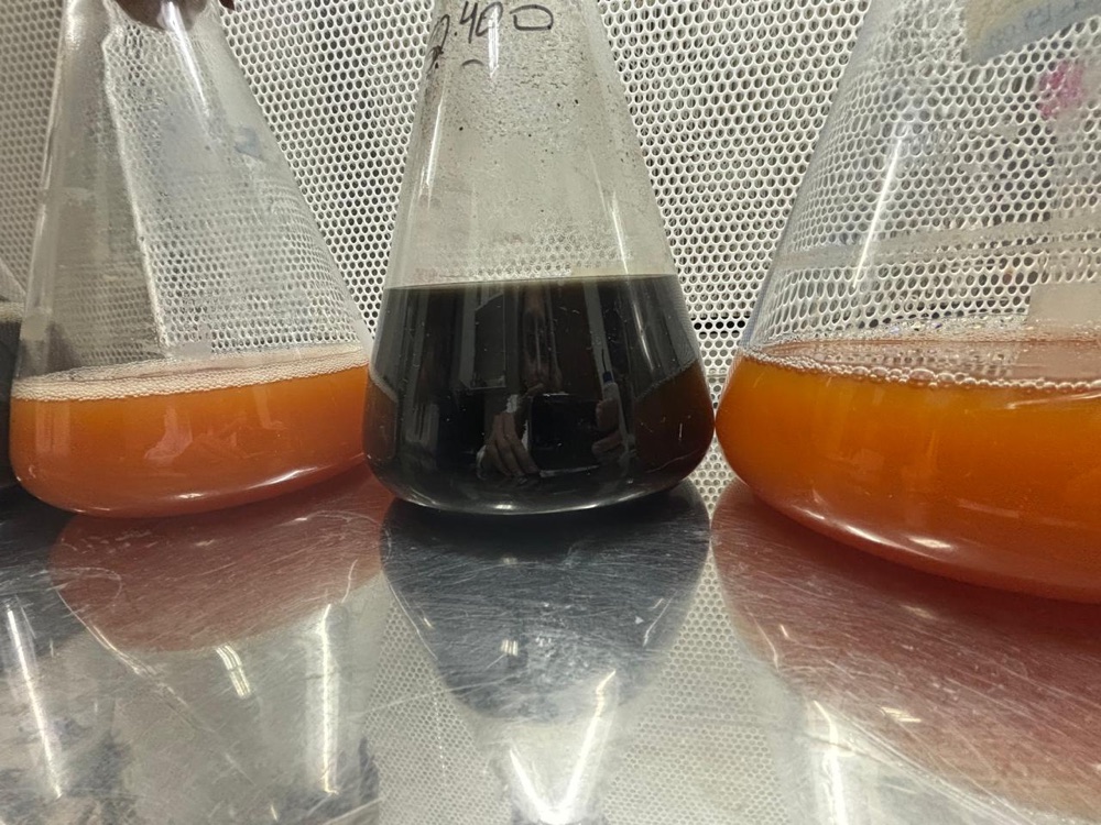 Controlled fermentation — microorganism growth in submerged culture